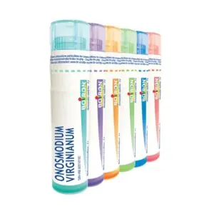 Onosmodium virginicum