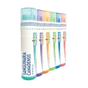 Sanguinaria canadensis