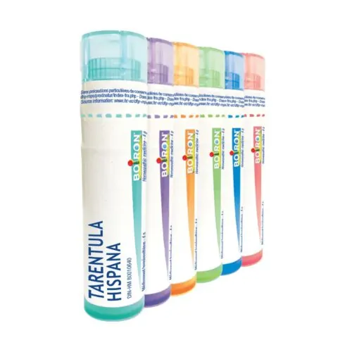Tarentula Hispana