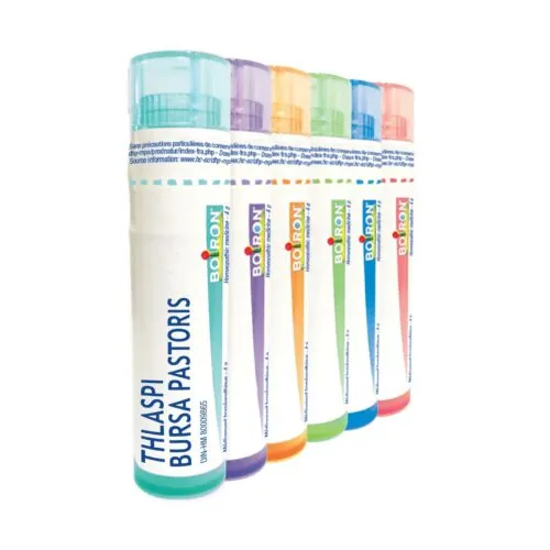 Thlaspi Bursa Pastoris